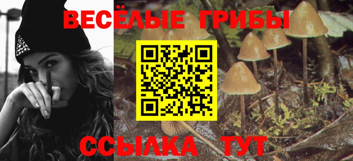 Отрадный  Псилоцибиновые грибы Psilocybe  наркошоп  Вход с VPN  Псилоцибиновые грибы мухоморы 